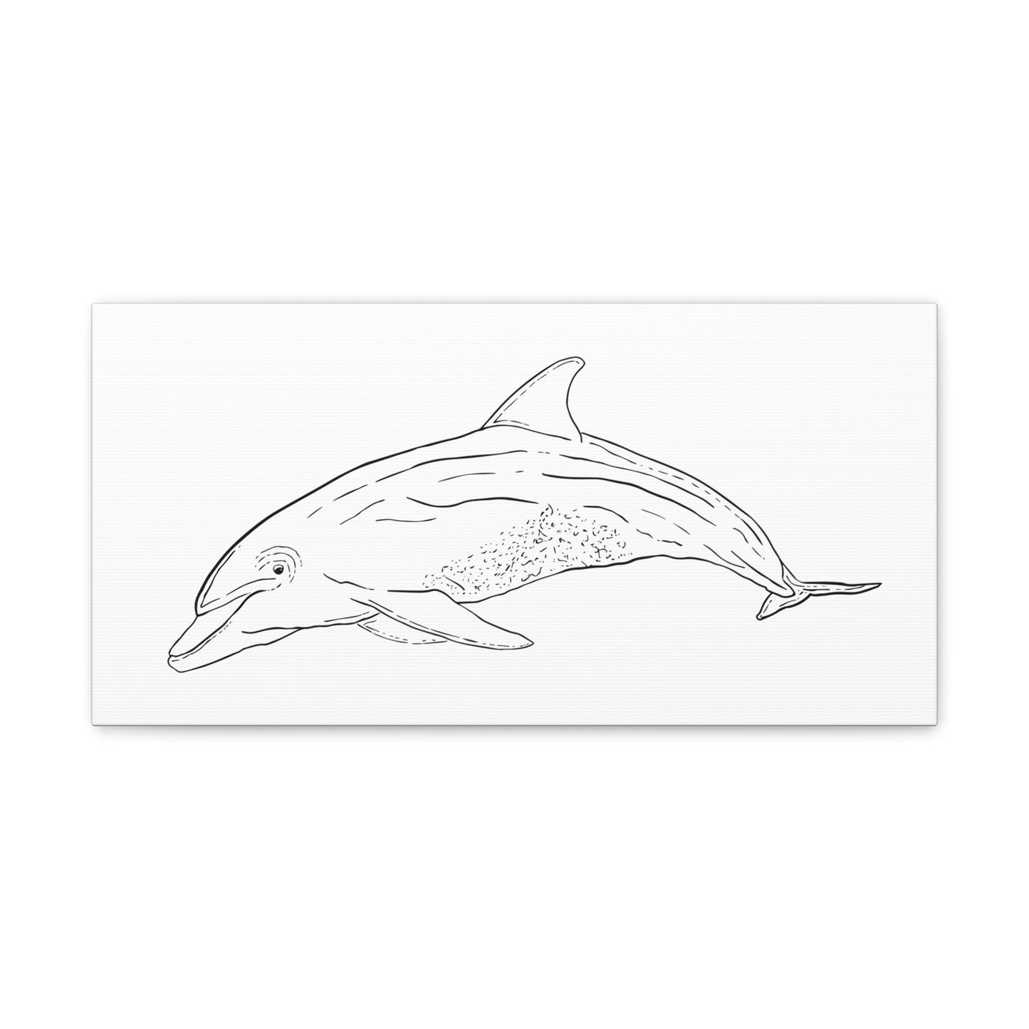 Dolphin Canvas Art Print