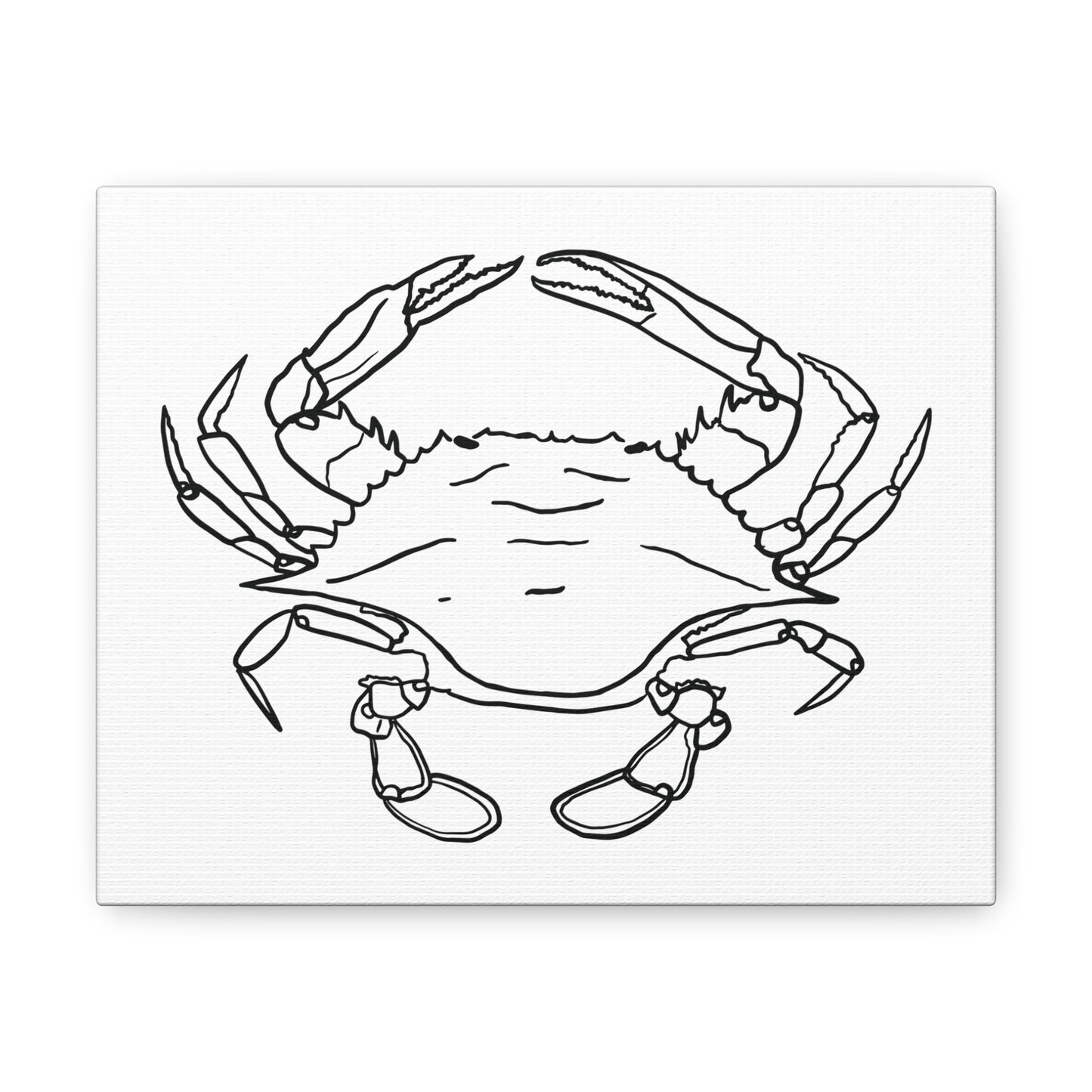 Blue Claw Crab Canvas Art Print