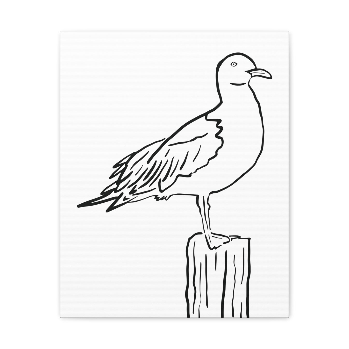 Seagull Canvas Gallery Wrap