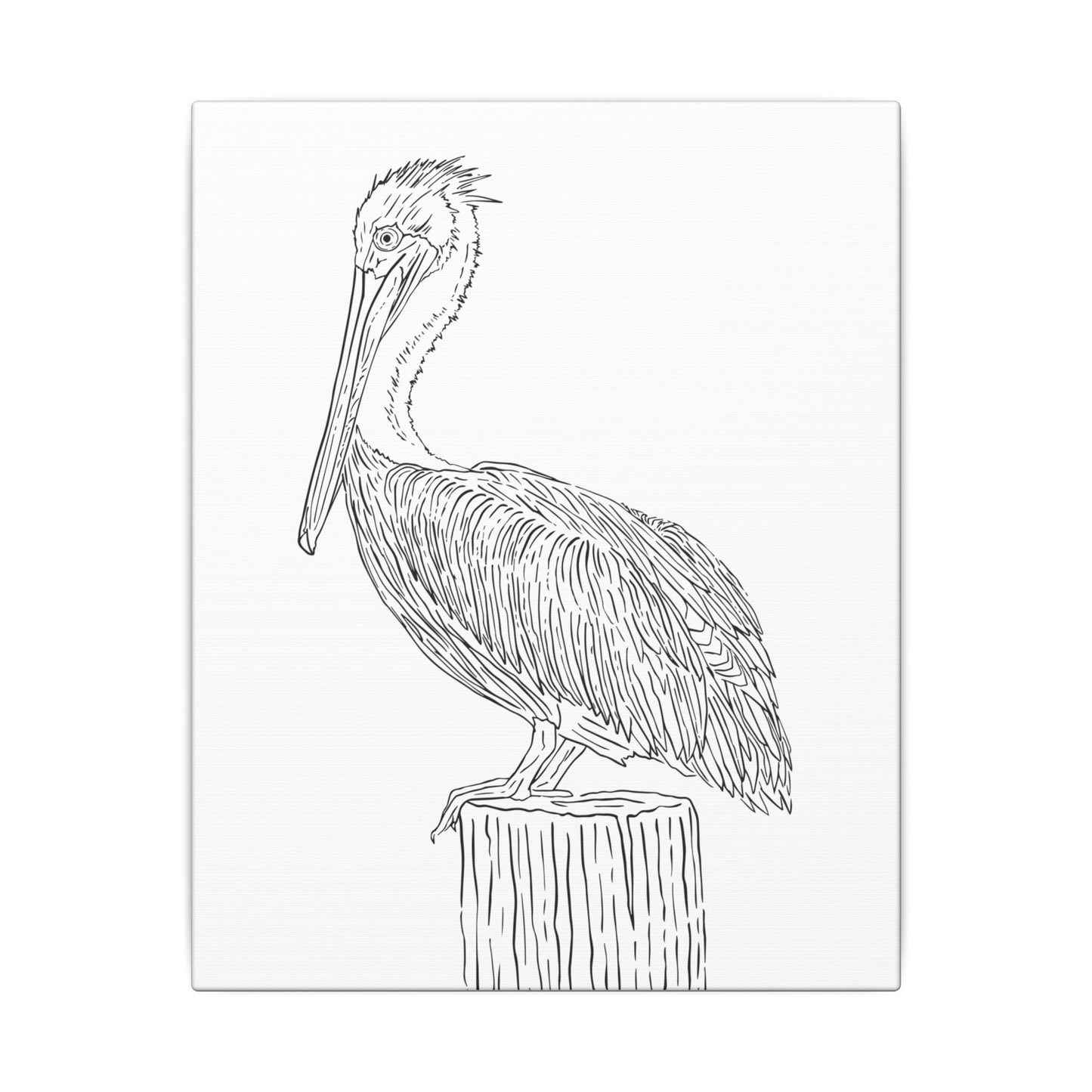 Pelican Canvas Art Print