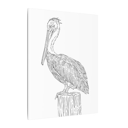 Pelican Canvas Art Print