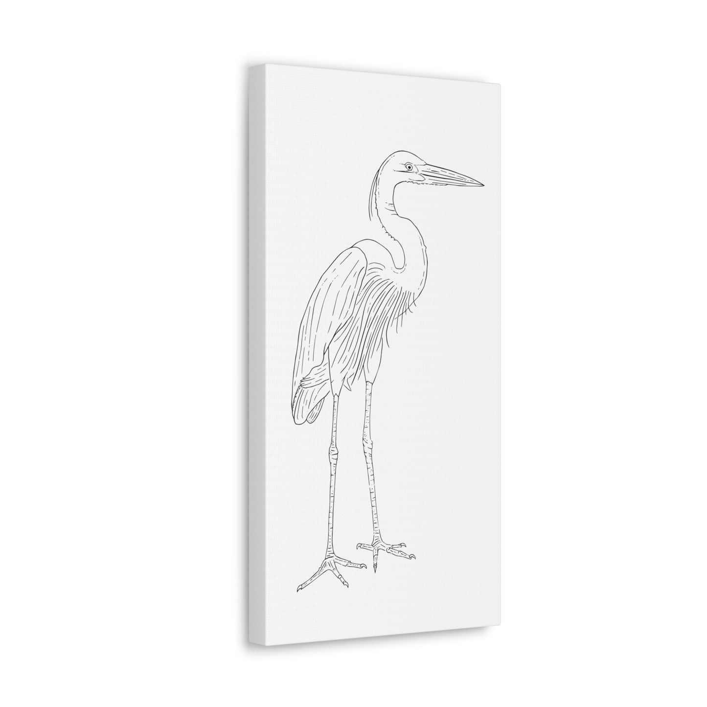 Great Blue Heron Canvas Gallery Wrap