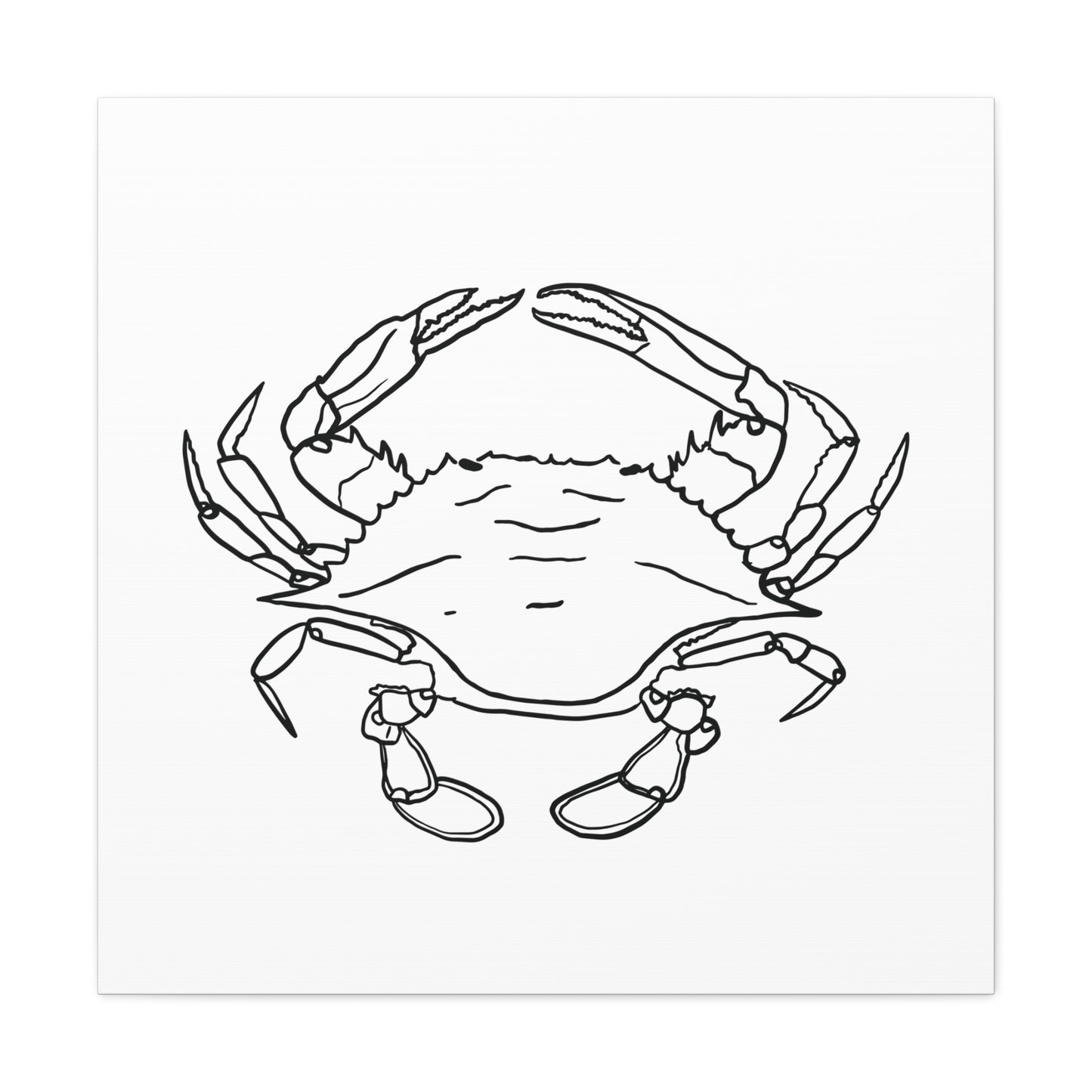 Blue Claw Crab Canvas Art Print