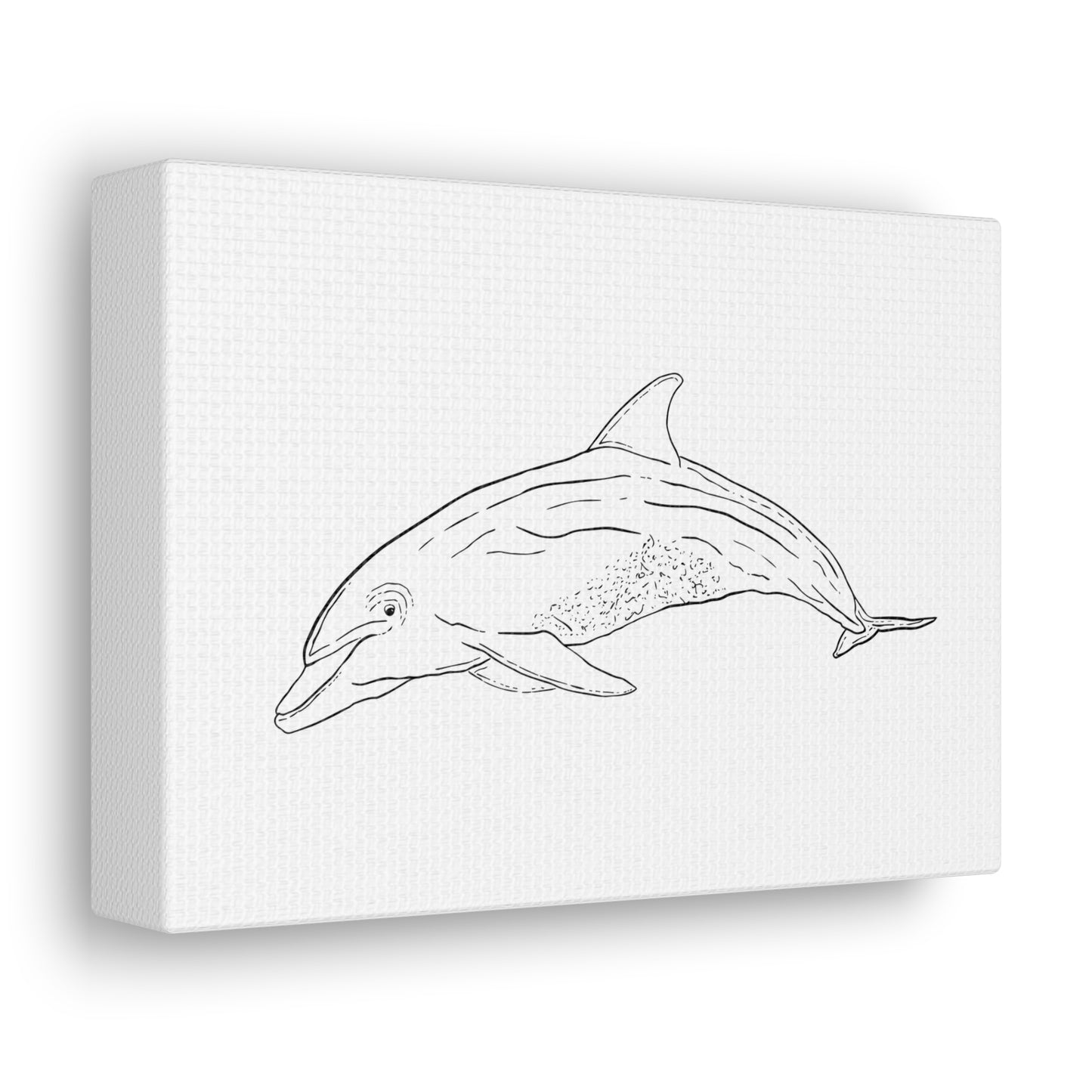 Dolphin Canvas Art Print