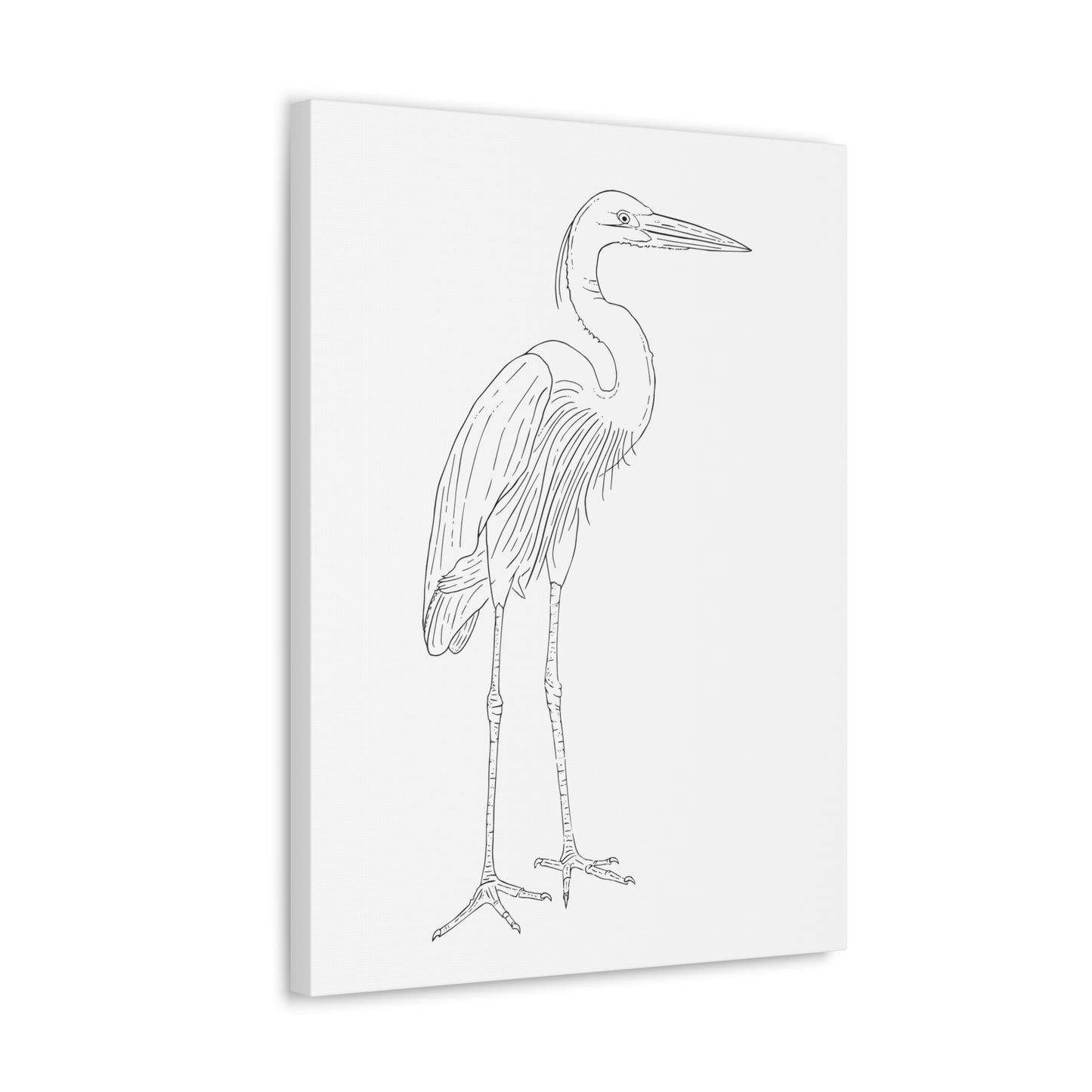 Great Blue Heron Canvas Gallery Wrap