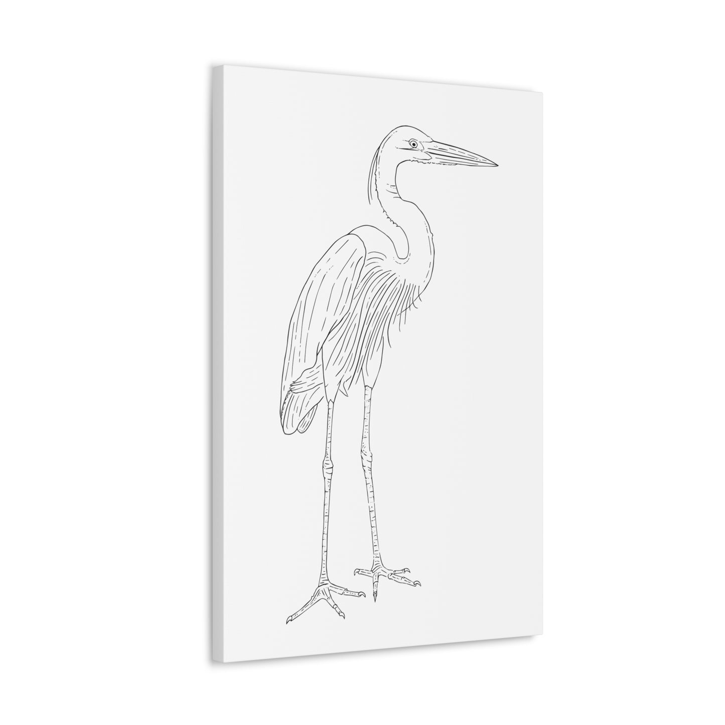 Great Blue Heron Canvas Gallery Wrap