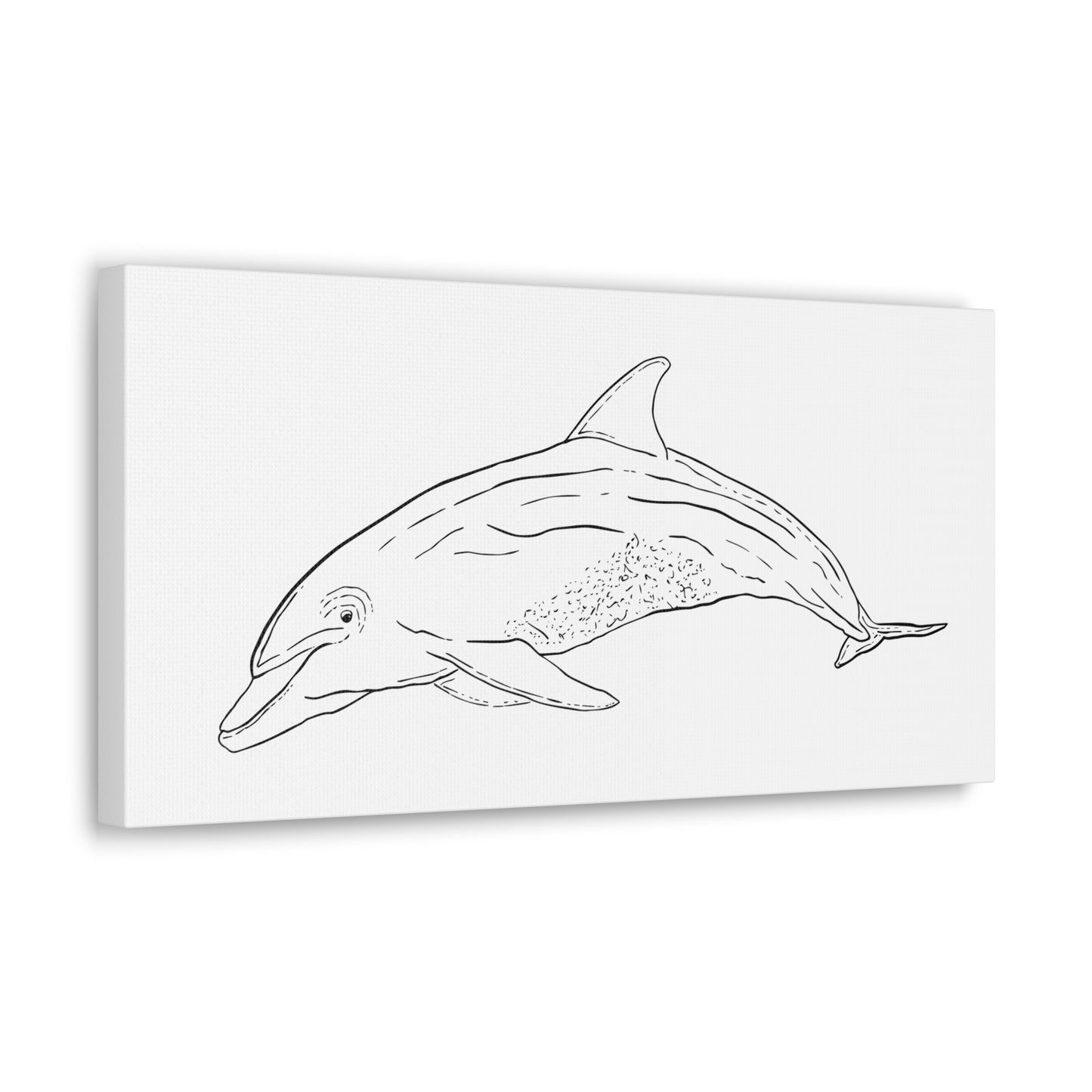 Dolphin Canvas Art Print