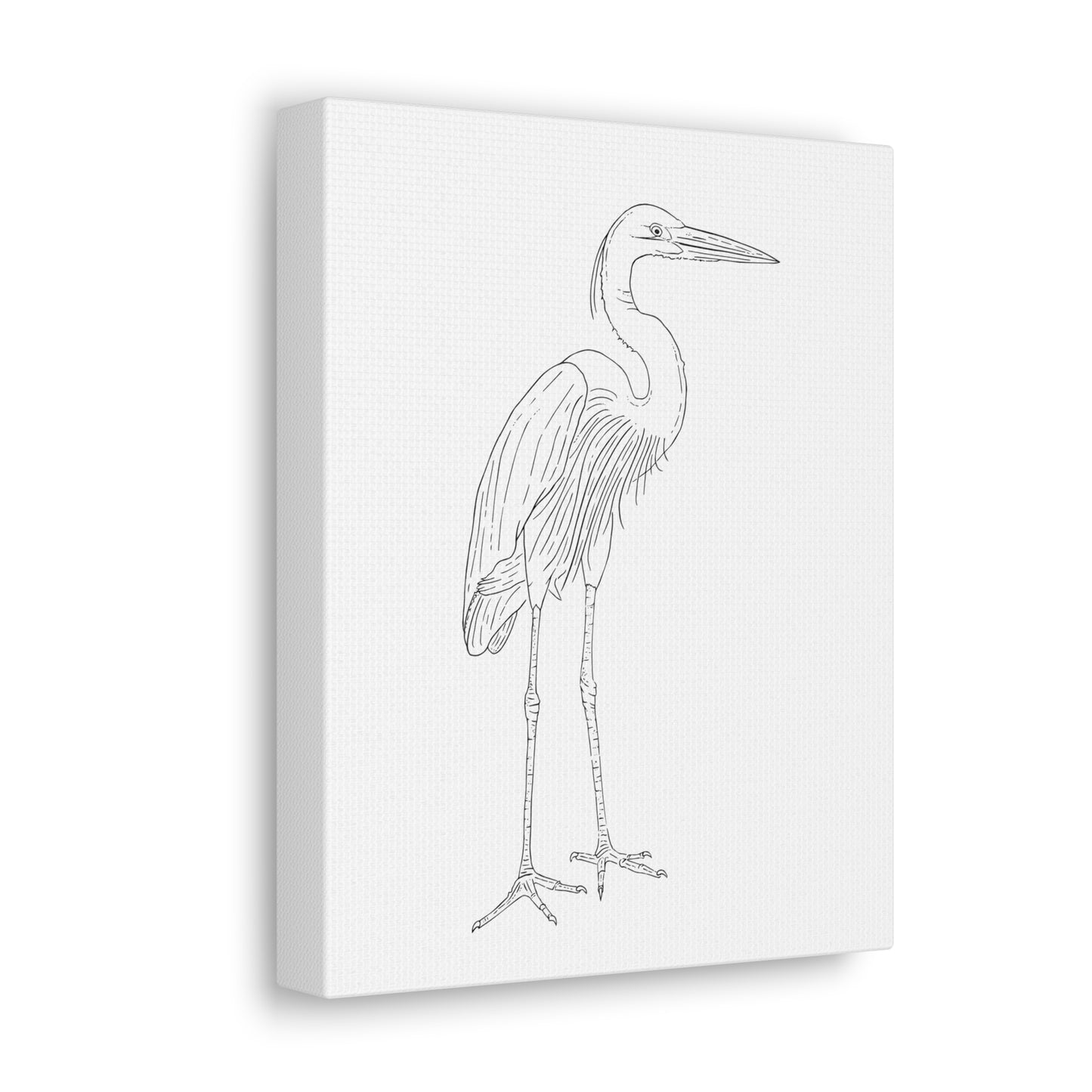 Great Blue Heron Canvas Gallery Wrap