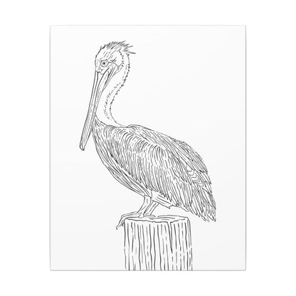 Pelican Canvas Art Print