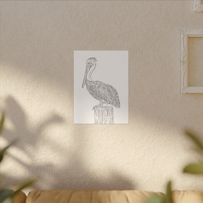 Pelican Canvas Art Print