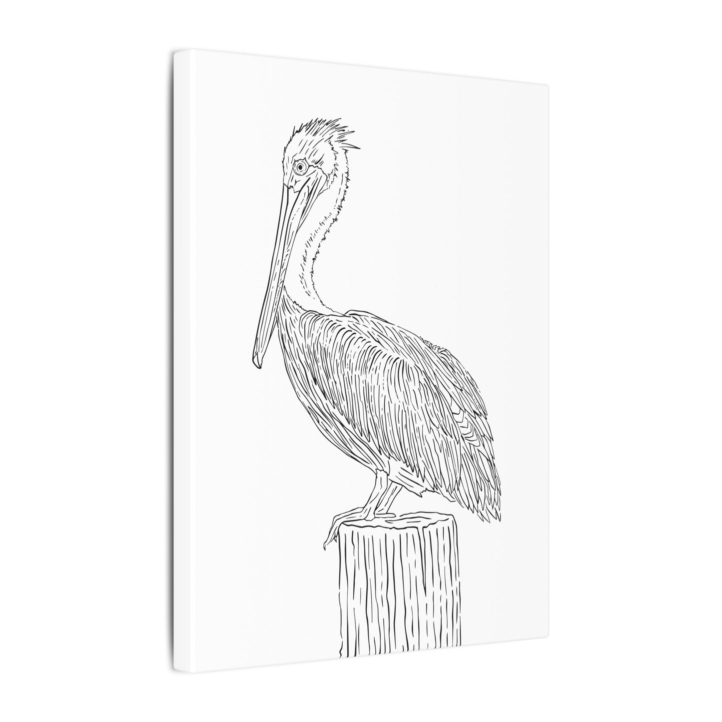 Pelican Canvas Art Print