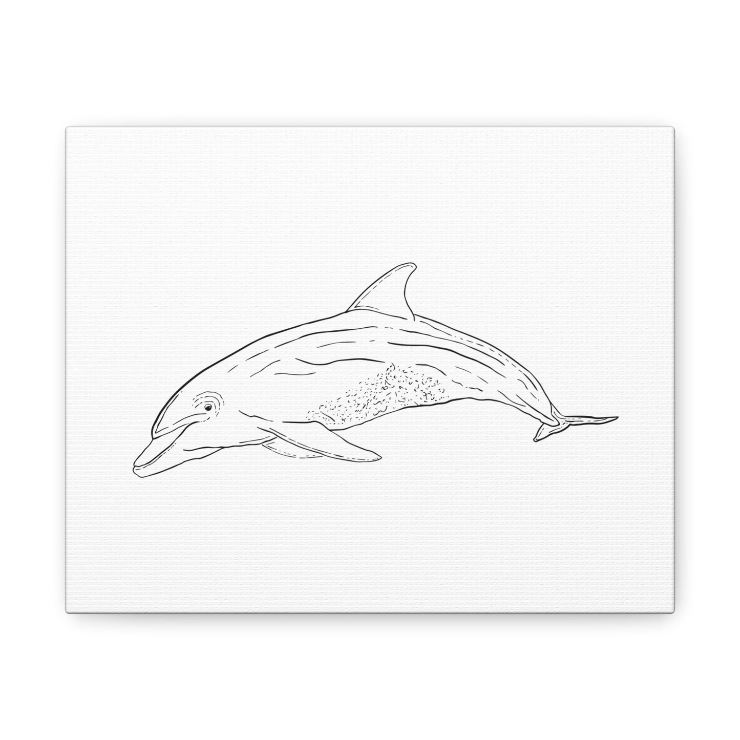 Dolphin Canvas Art Print