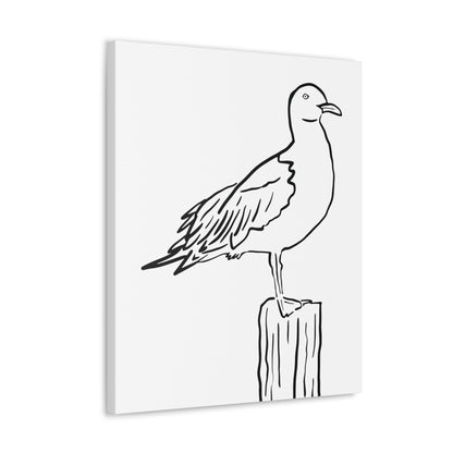 Seagull Canvas Gallery Wrap