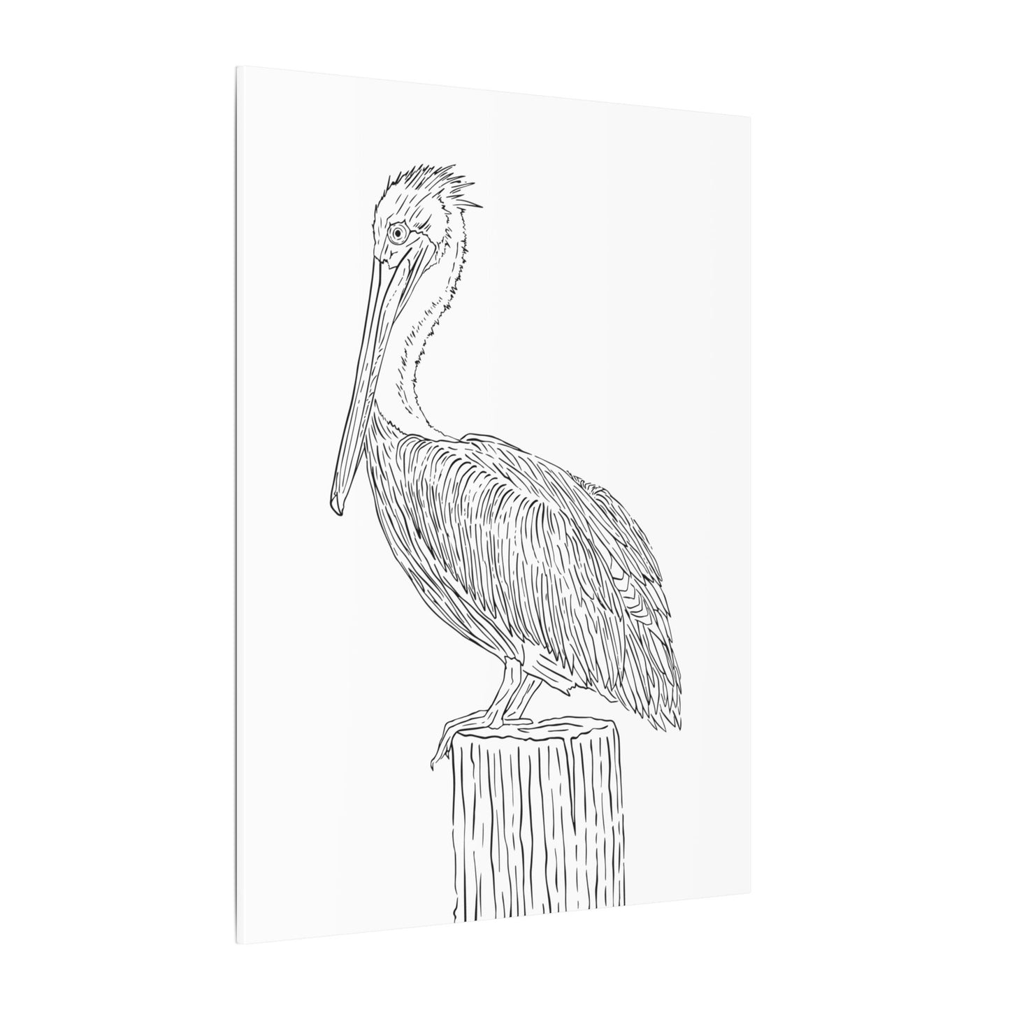 Pelican Canvas Art Print