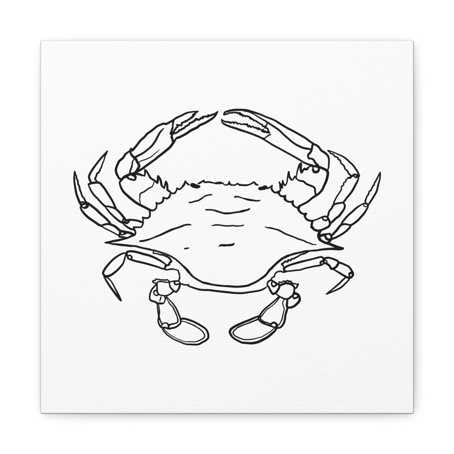 Blue Claw Crab Canvas Art Print