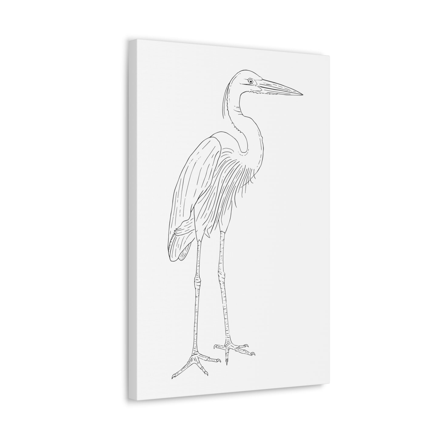 Great Blue Heron Canvas Gallery Wrap