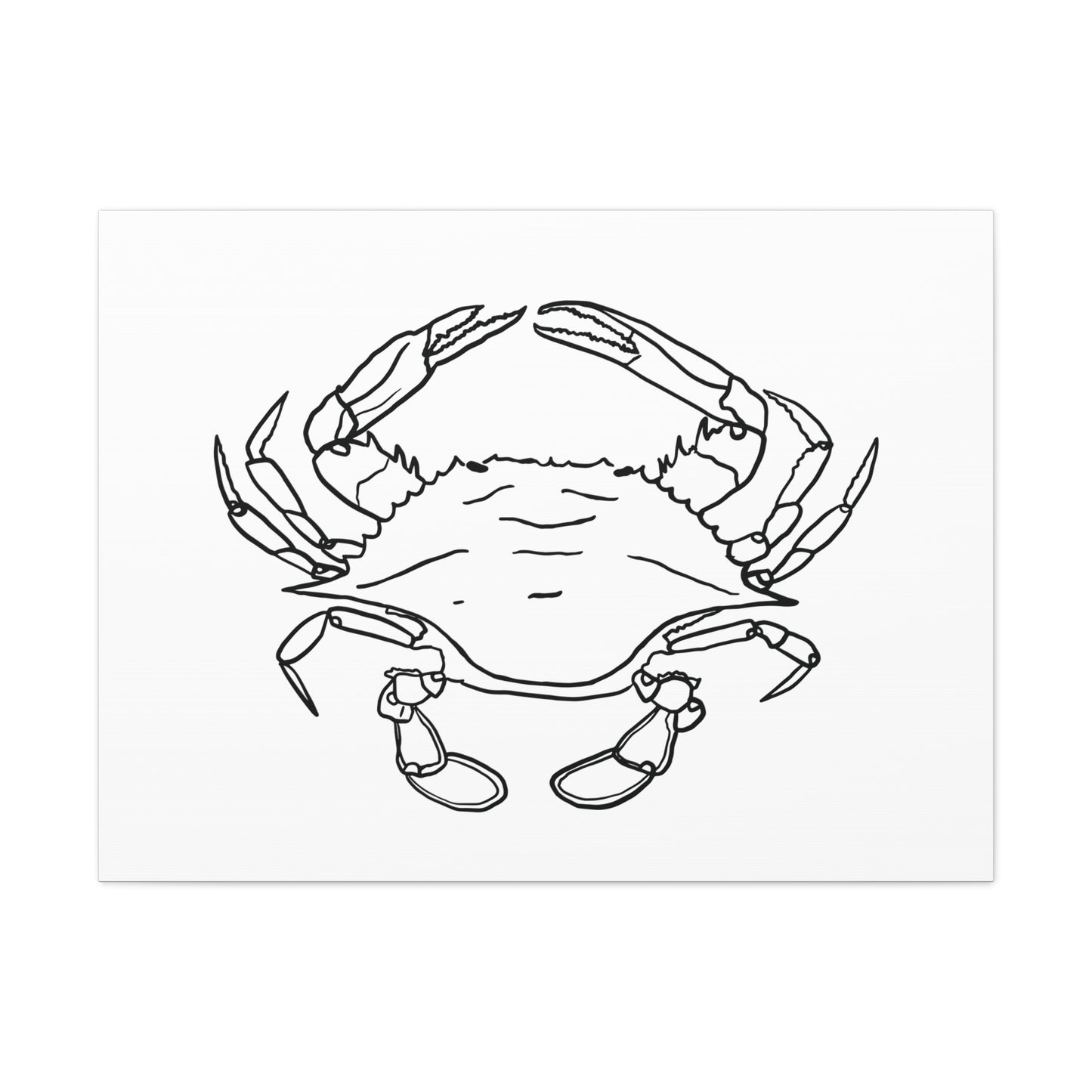 Blue Claw Crab Canvas Art Print