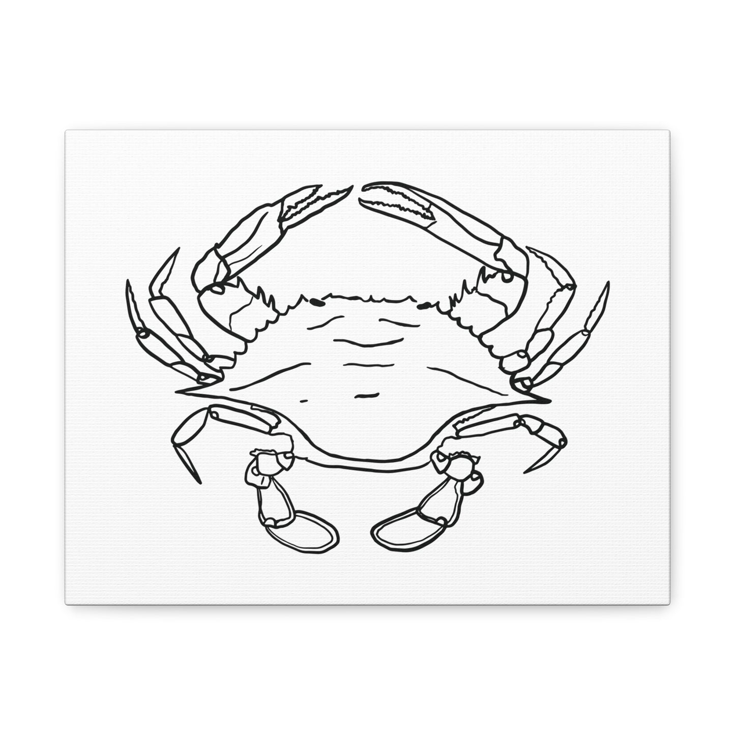 Blue Claw Crab Canvas Art Print