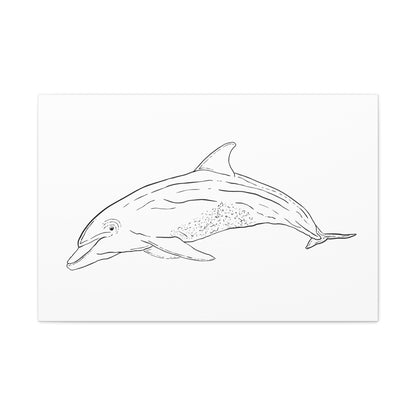 Dolphin Canvas Art Print