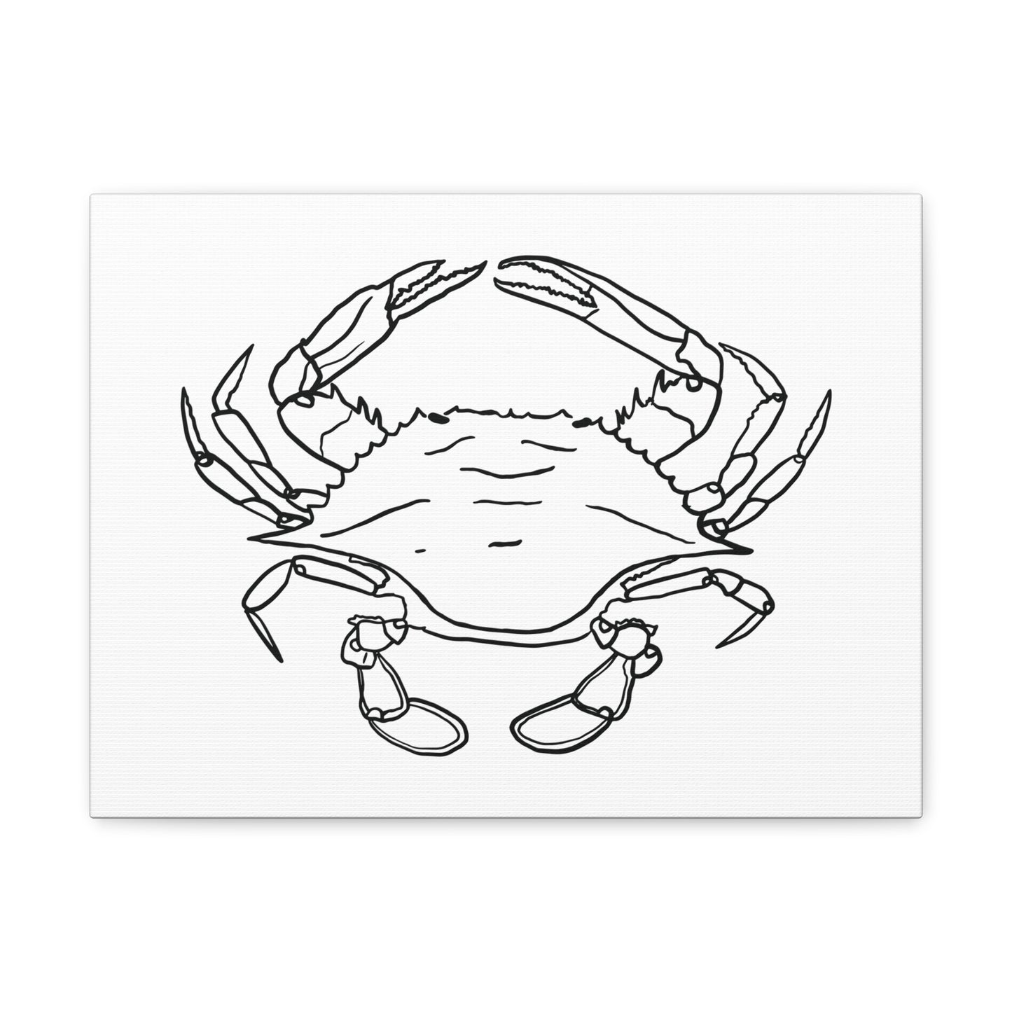 Blue Claw Crab Canvas Art Print