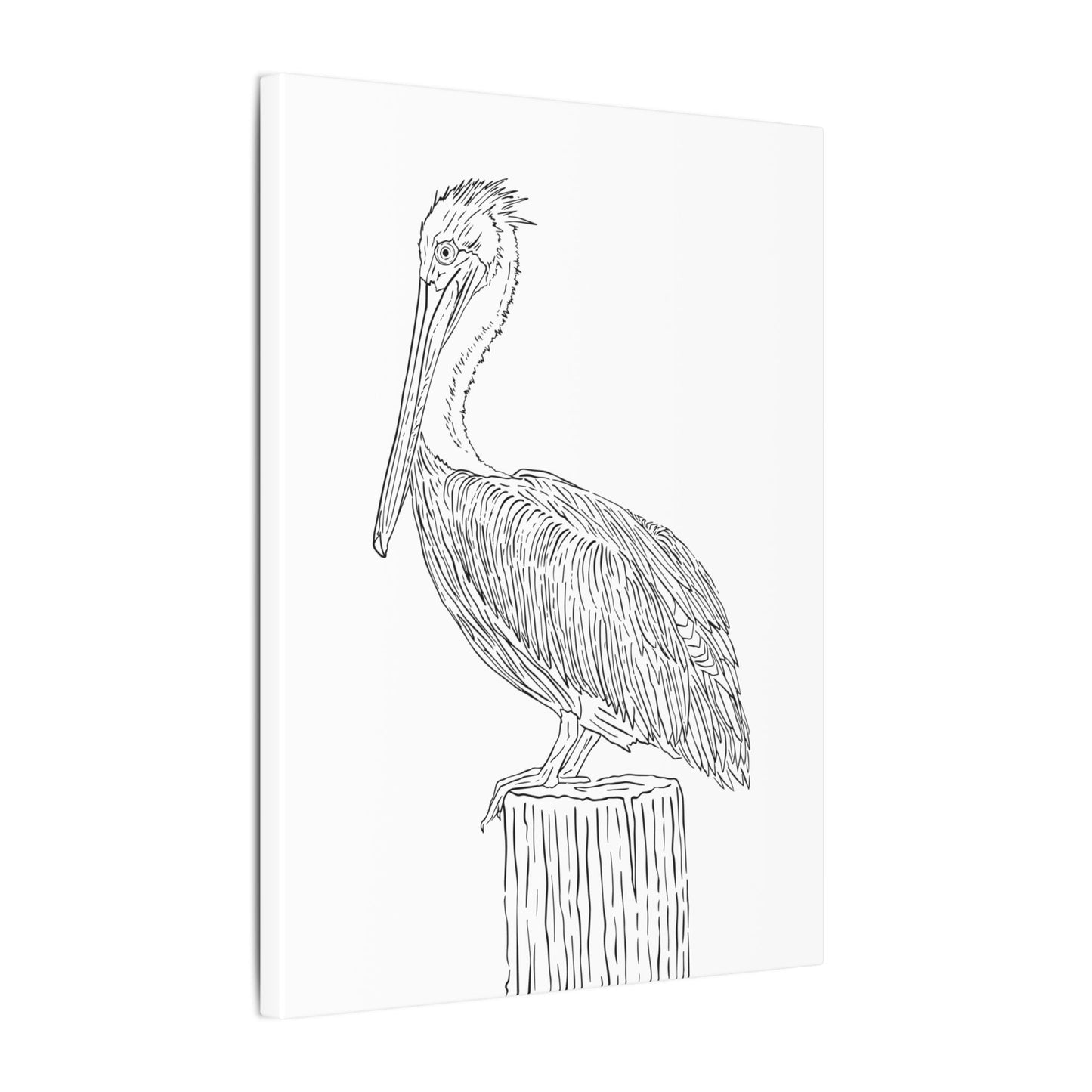 Pelican Canvas Art Print