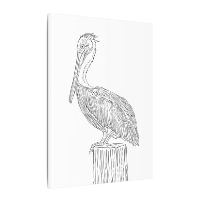 Pelican Canvas Art Print
