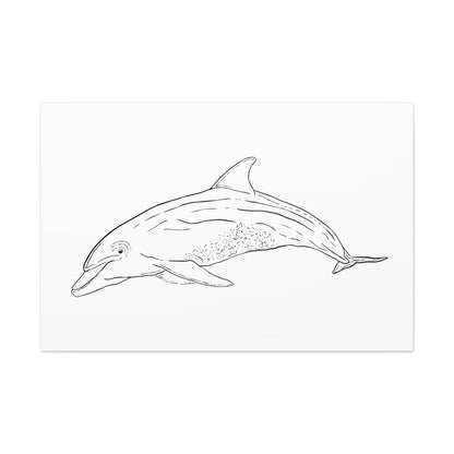 Dolphin Canvas Art Print