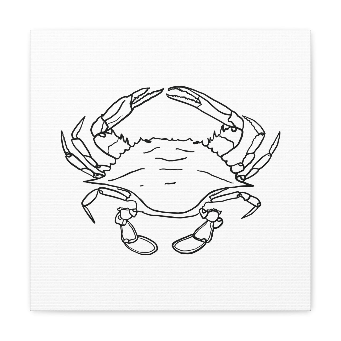 Blue Claw Crab Canvas Art Print