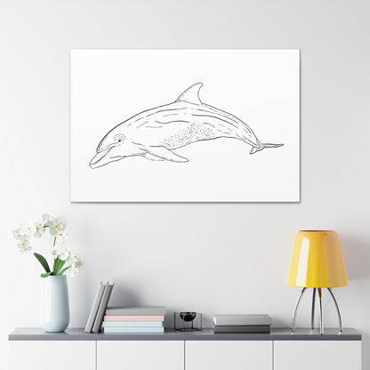 Dolphin Canvas Art Print