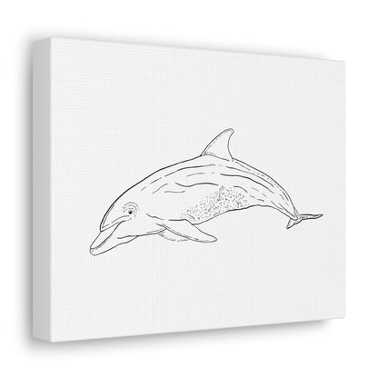 Dolphin Canvas Art Print