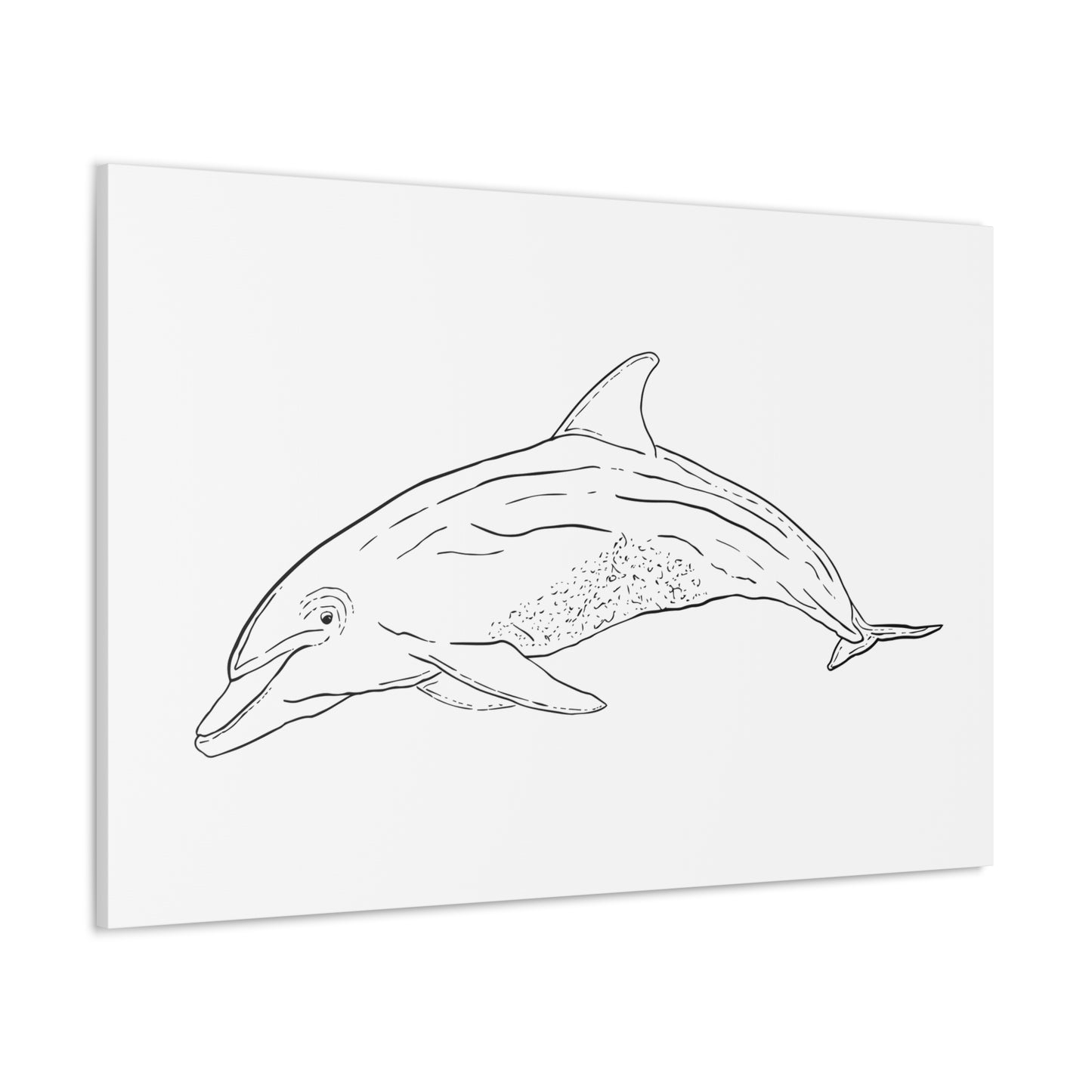 Dolphin Canvas Art Print