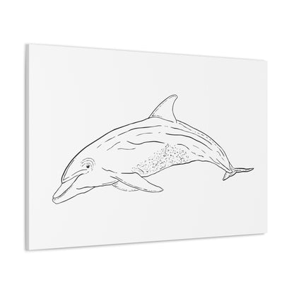 Dolphin Canvas Art Print