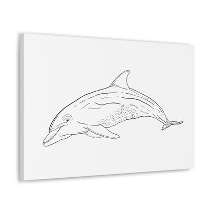 Dolphin Canvas Art Print