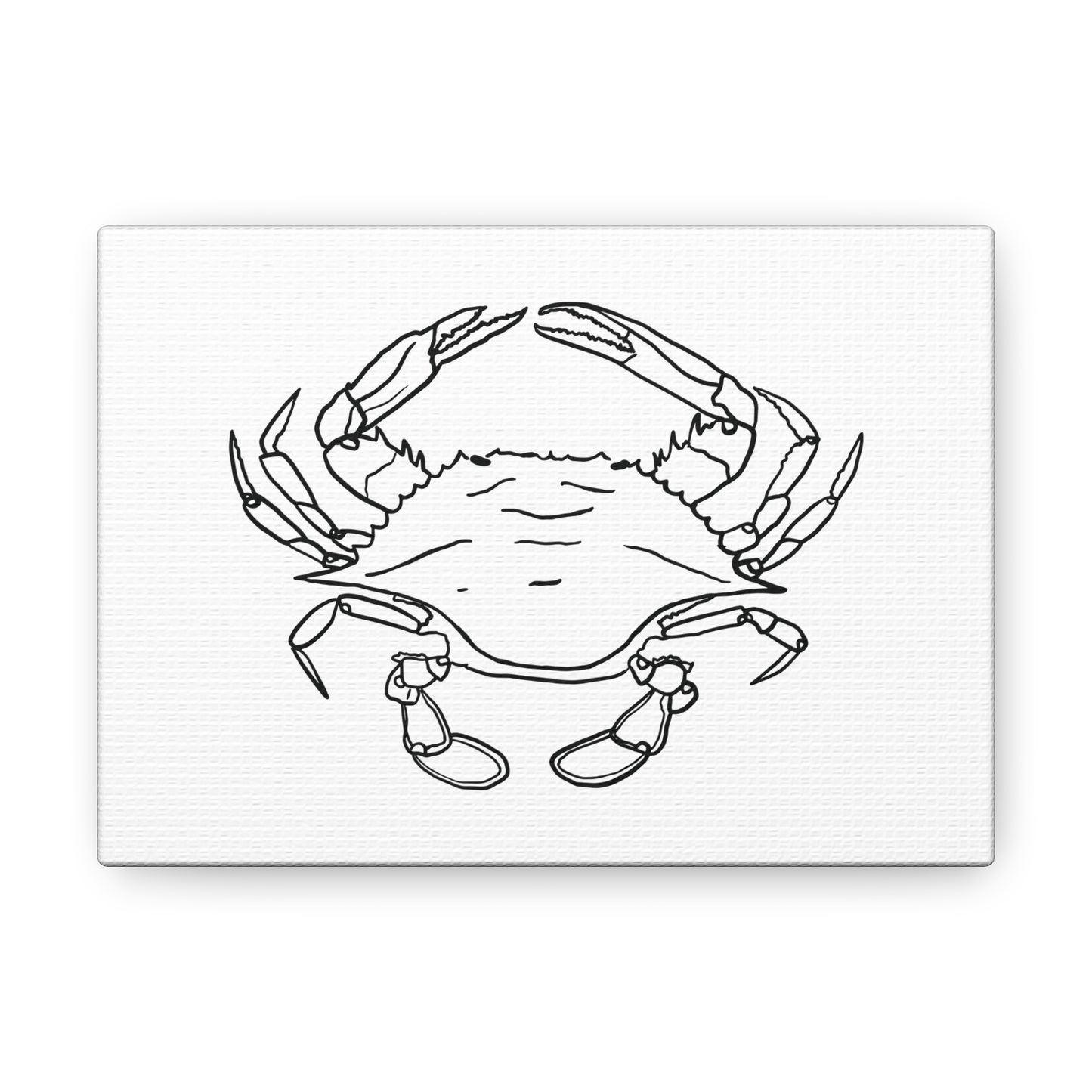 Blue Claw Crab Canvas Art Print