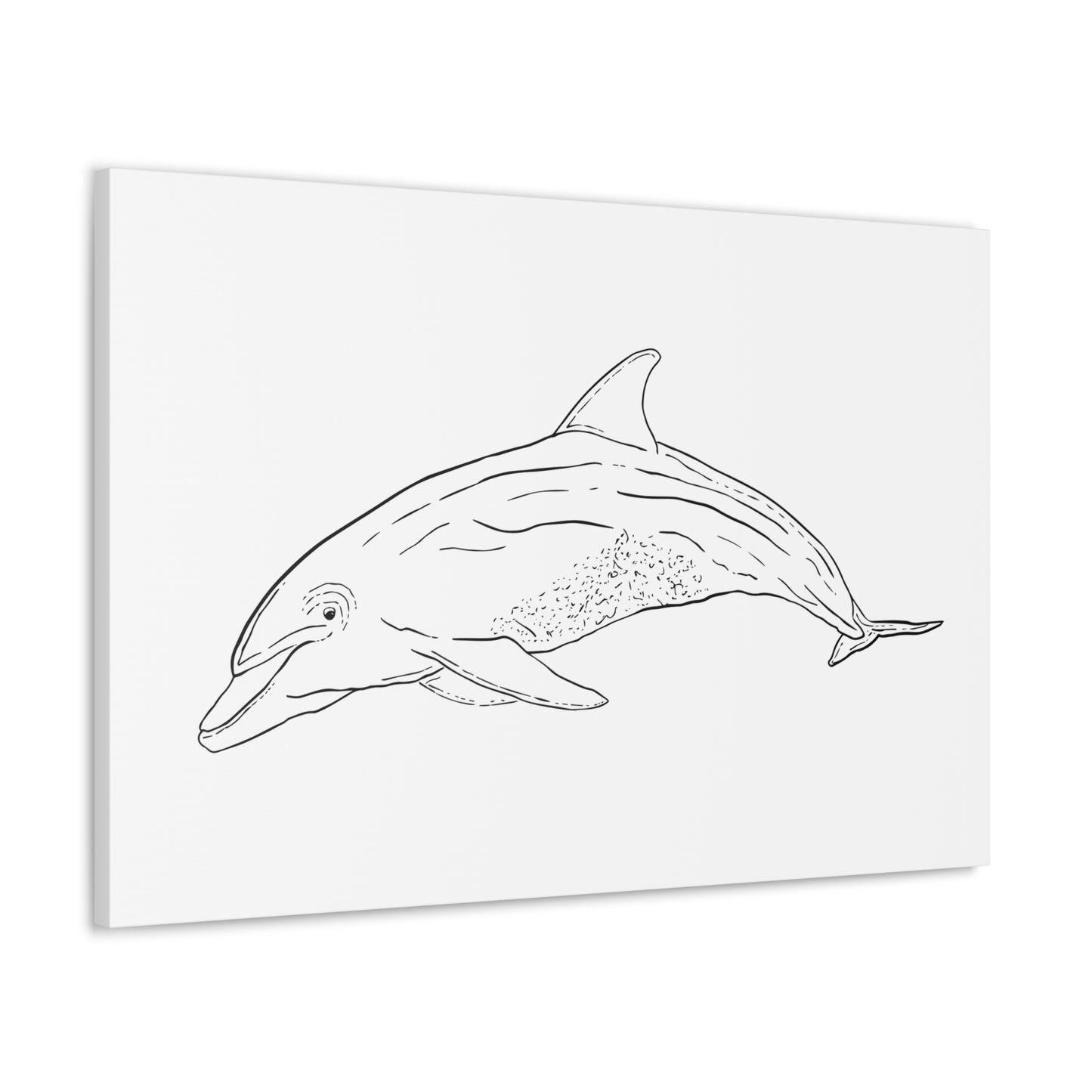 Dolphin Canvas Art Print