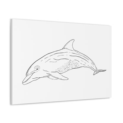 Dolphin Canvas Art Print