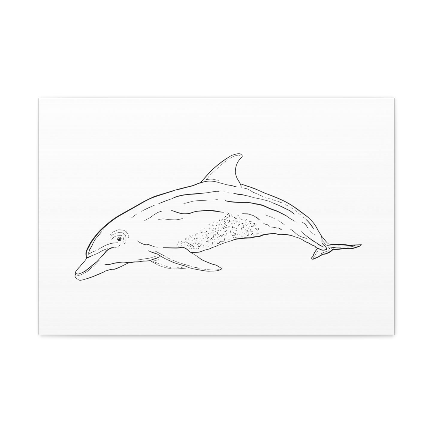 Dolphin Canvas Art Print