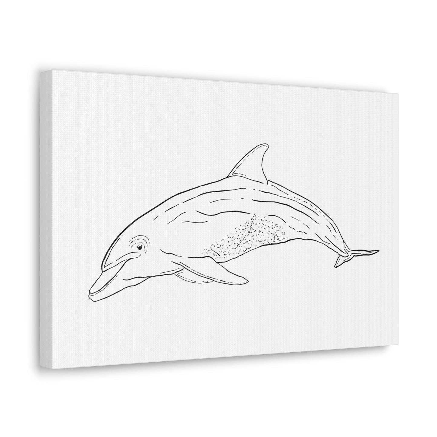 Dolphin Canvas Art Print