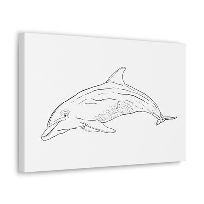 Dolphin Canvas Art Print