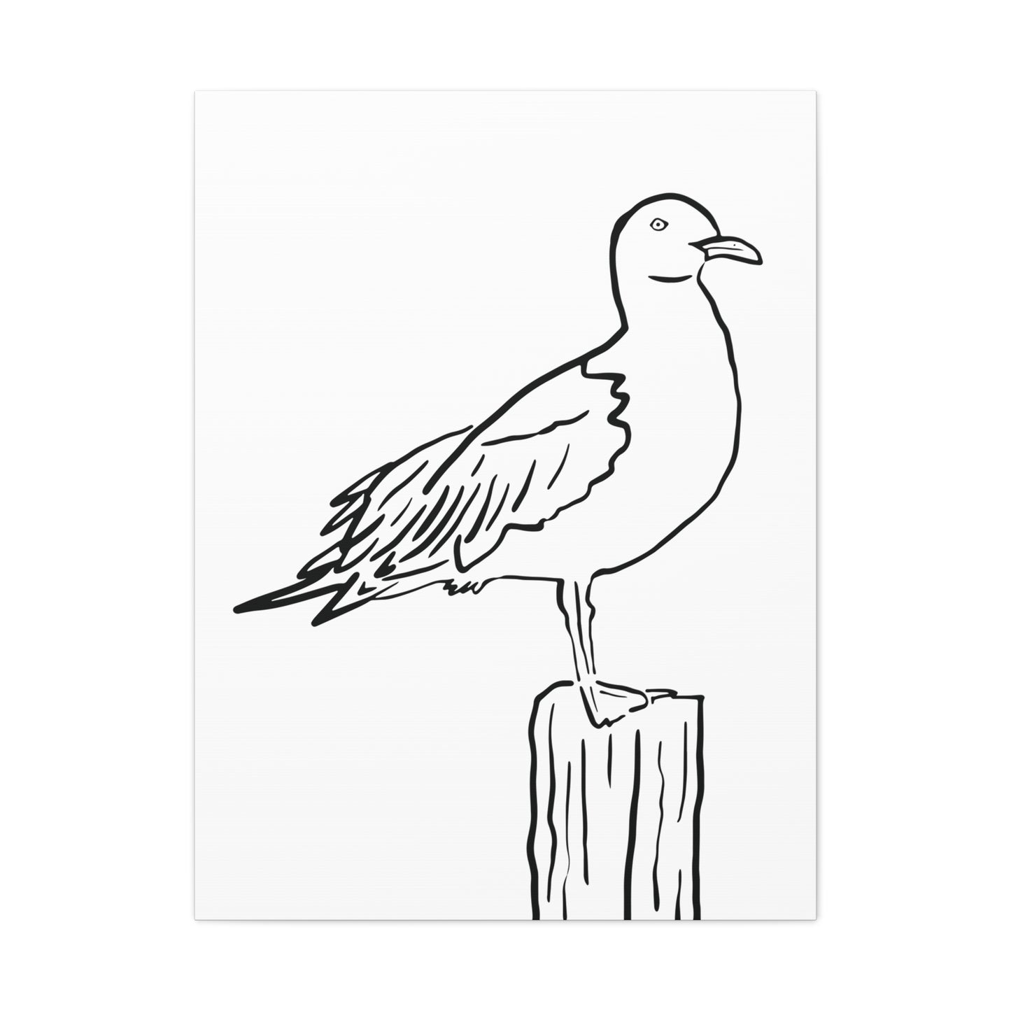 Seagull Canvas Gallery Wrap