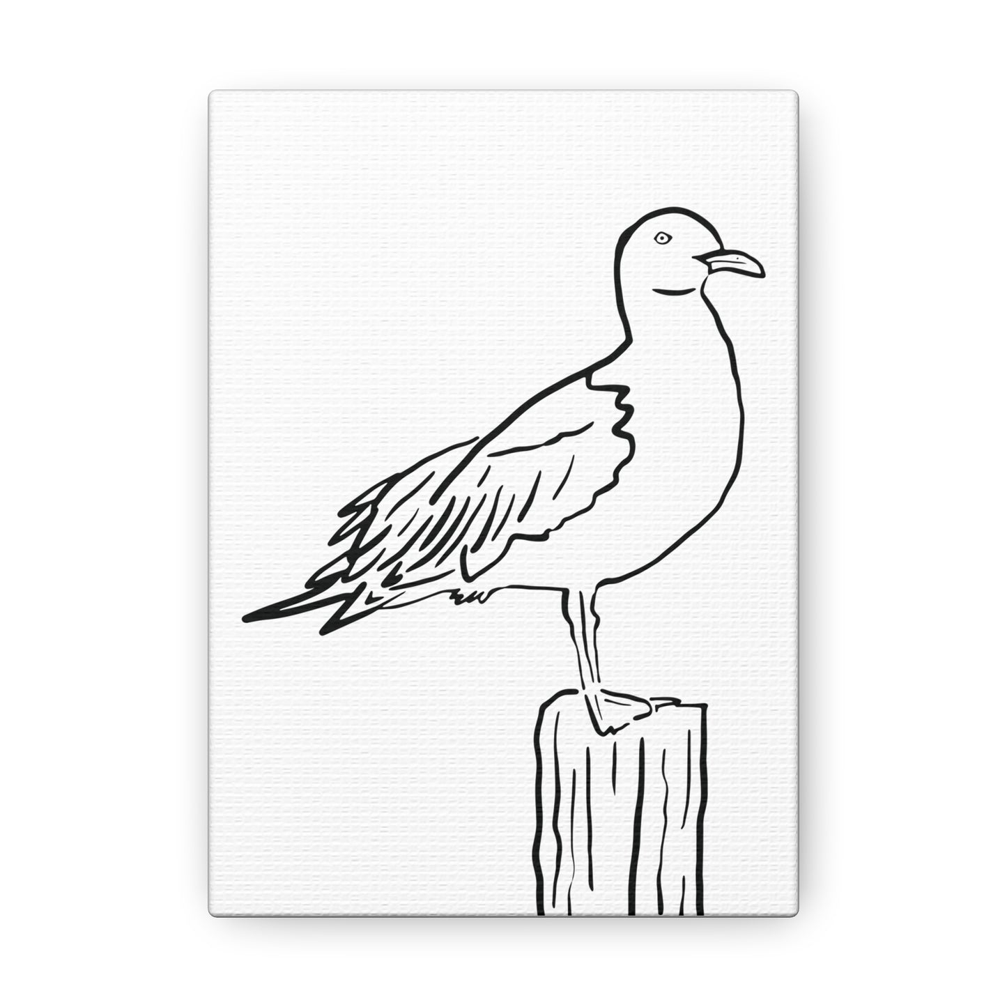 Seagull Canvas Gallery Wrap