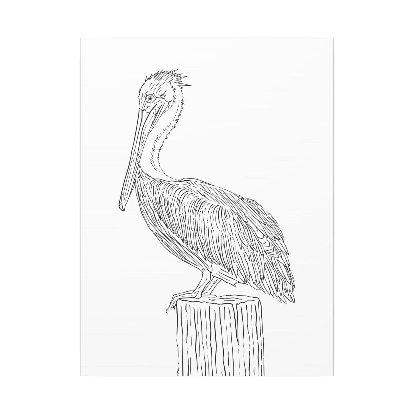Pelican Canvas Art Print