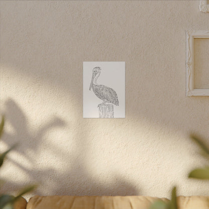 Pelican Canvas Art Print