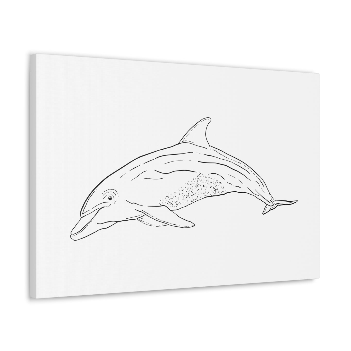 Dolphin Canvas Art Print