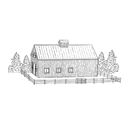 Custom Drawing