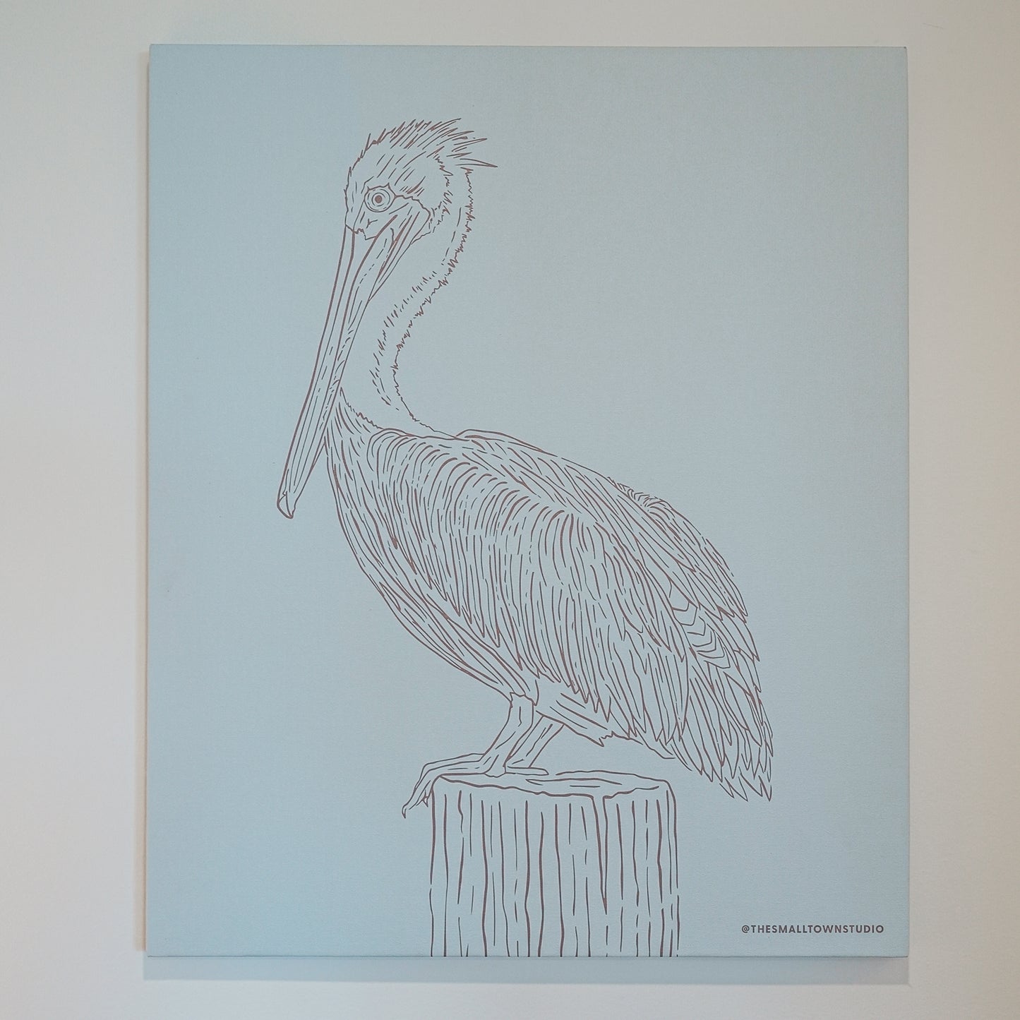 Pelican Canvas Art Print